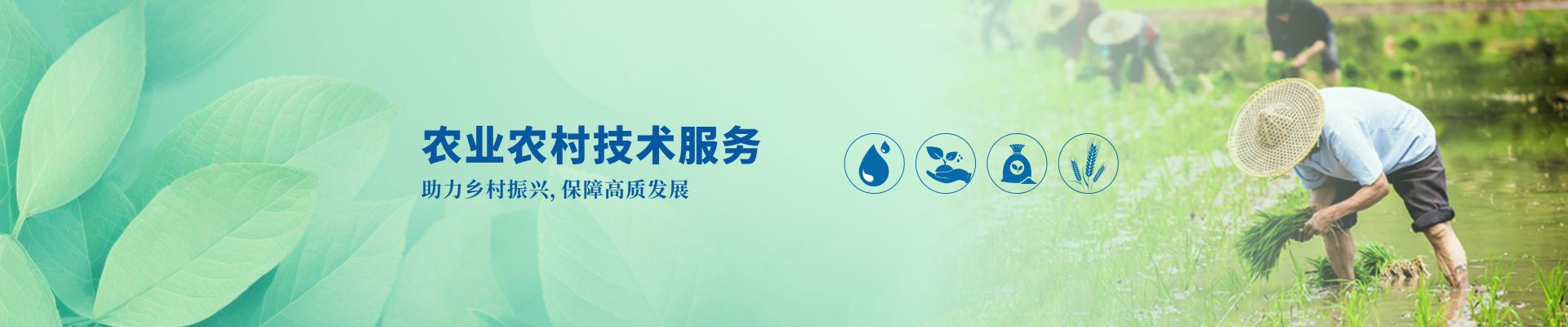 農業(yè)農村